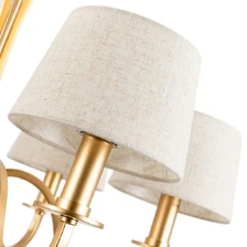 Подвесная люстра Divinare FLORENCE  3